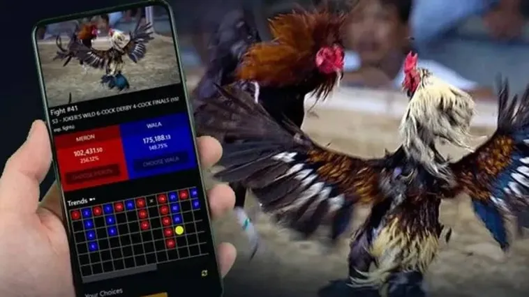 Đá Gà HB88 sân chơi cá cược trực tuyến uy tín và đẳng cấp