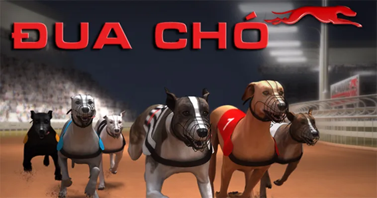 Cách Chơi Game Nhanh Đua Chó Tại HB88 Hiểu Luật Chuẩn Và Dự Đoán Chuẩn Xác
