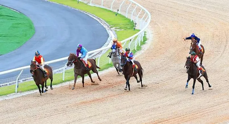 Tìm Hiểu Cá Cược Đua Ngựa HB88 Hướng Dẫn Chơi Và Đặt Kèo Hiệu Quả